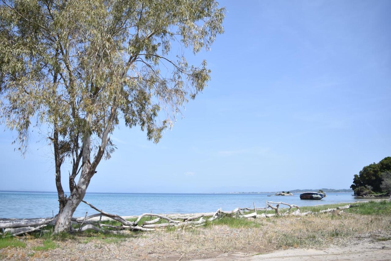 Corfu Seaview Maisonette - Sopra Il Mare Petrití Buitenkant foto